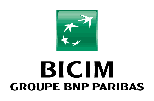 personalizacion camisetas BNP PARISBAS