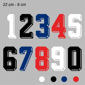 NUMEROS TRANSFER