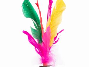 indiakas multicolor